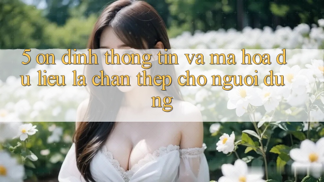 5. Ổn định Thông Tin Và Mã hóa dữ liệu: Lá Chắn Thép Cho Người dùng
