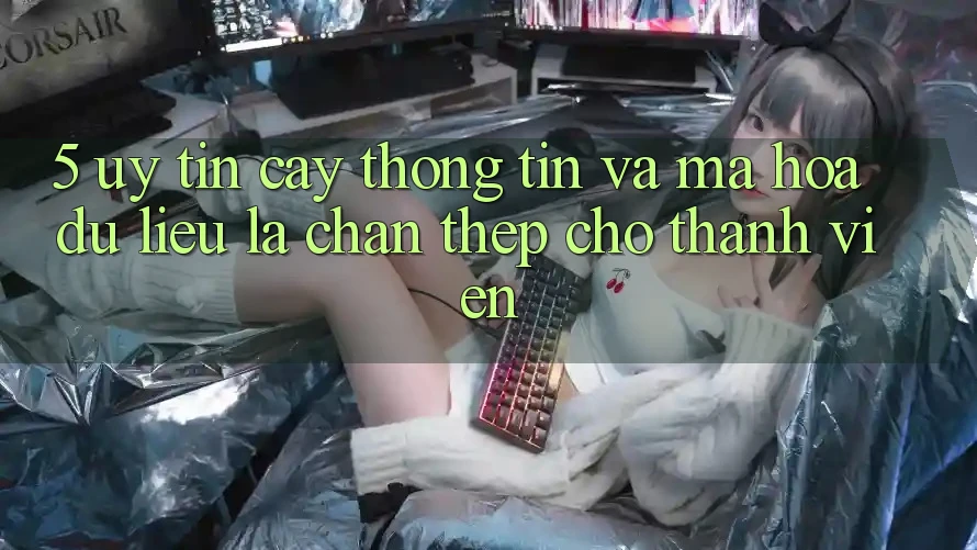 5. Uy tín cậy Thông Tin Và Mã hóa dữ liệu: Lá Chắn Thép Cho Thành viên 5. Uy tín cậy Thông Tin Và Mã hóa dữ liệu: Lá Chắn Thép Cho Thành viên
